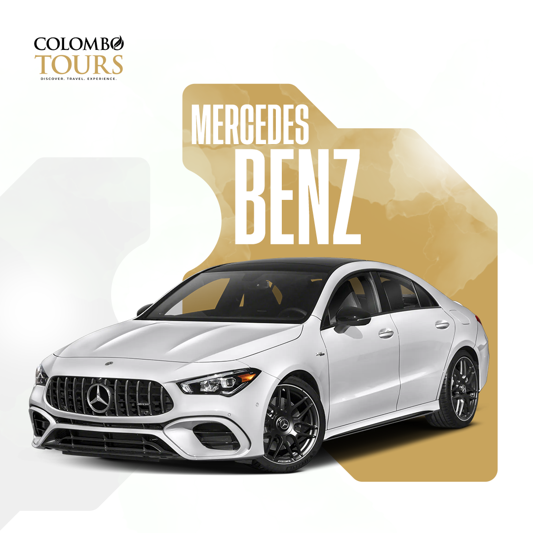 Business VIP Travel