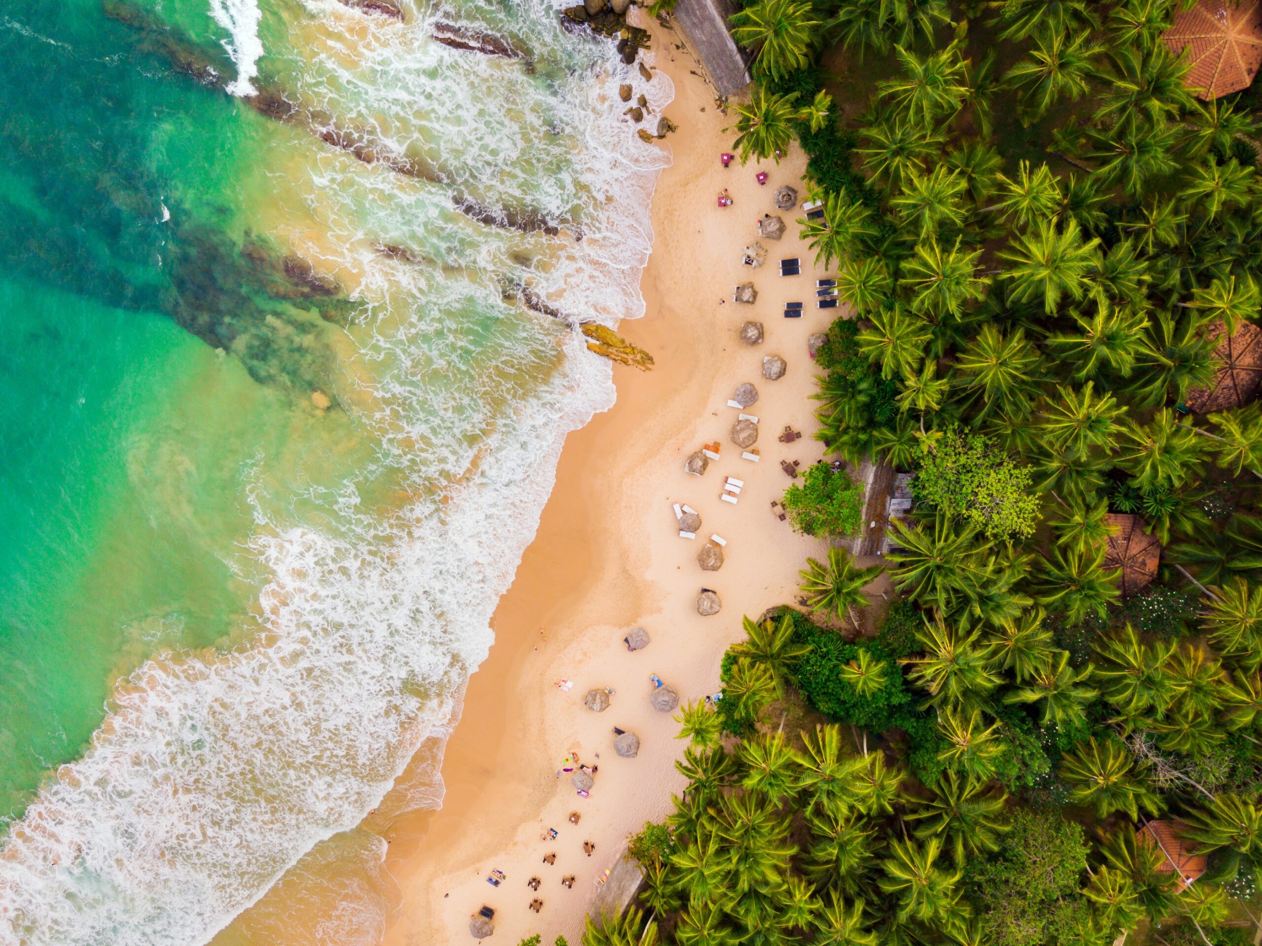 Beach & Coast Tour